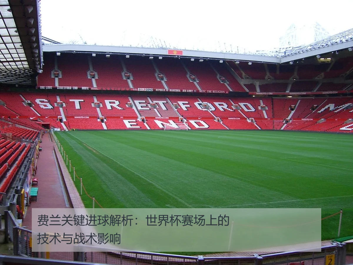费兰关键进球解析:世界杯赛场上的技术与战术影响