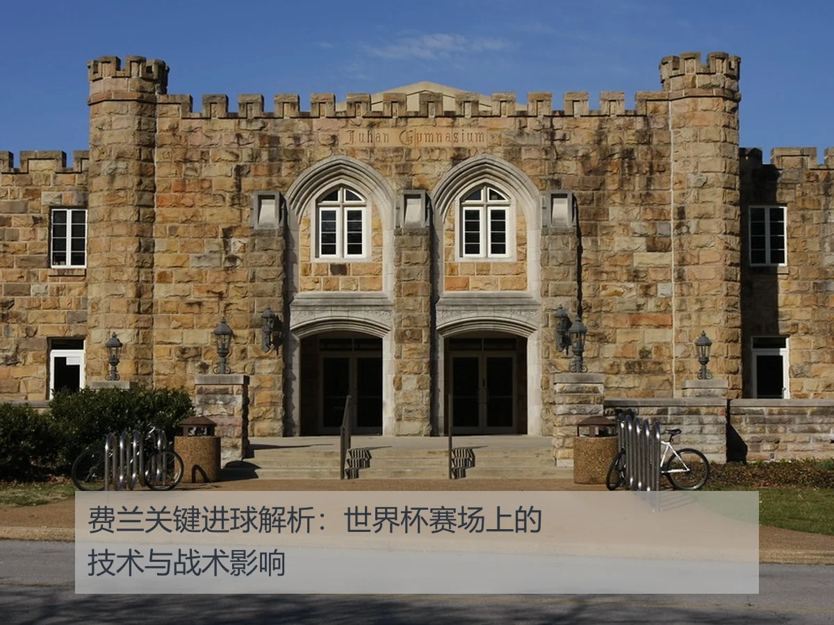 费兰关键进球解析:世界杯赛场上的技术与战术影响
